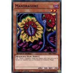 Mandragore  (C) [SBSC]