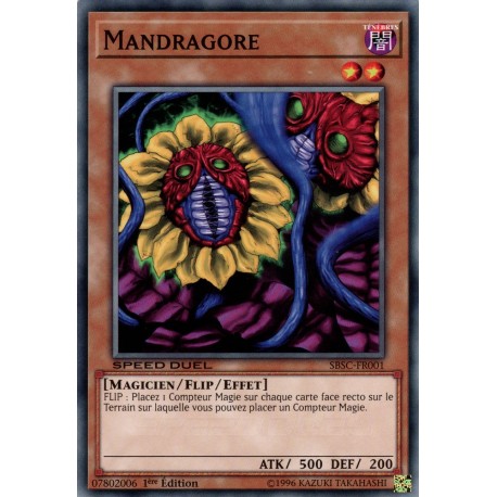 Mandragore  (C) [SBSC]