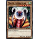 Mante Impératrice  (C) [SBSC]