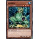 Skreech  (C) [SBSC]