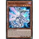 Dragon Argentrokkette (SR) [SDRR]