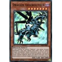 Dragon Absorouteur (SR) [SDRR]