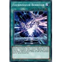 Fournisseur Borrelle (C) [SDRR]