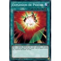 Explosion de Pioche (C) [SDRR]