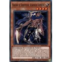 Raiden Le Serviteur, Seigneur Lumière (C) [SDRR]