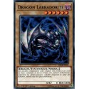 Dragon Labradorite (C) [SDRR]