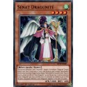 Sénat Dragunité (C) [MP19]