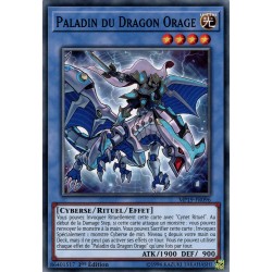 Paladin du Dragon Orage (C) [MP19]