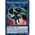 Dragon Borrellemini (C) [MP19]