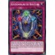 Gestionnaire de Bouclier (C) [MP19]