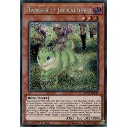Danger !? Jackalope ? (PSR) [MP19]