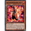 Salamangrande Suri (C) [MP19]