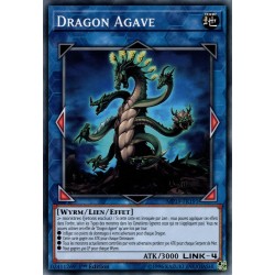 Dragon Agave (C) [MP19]