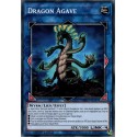 Dragon Agave (C) [MP19]