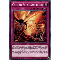 Cadeau Salamangrande (C) [MP19]
