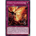 Cadeau Salamangrande (C) [MP19]