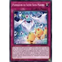 Plongeurs de Scène Sous-Marine (C) [MP19]