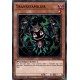 Transefamilier (C) [MP19]