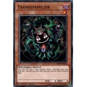 Transefamilier (C) [MP19]