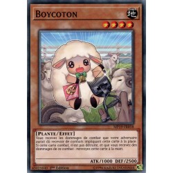 Boycoton (C) [MP19]