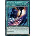 Cyclone Cybersal (C) [MP19]