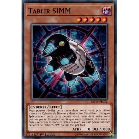 Tablir SIMM (C) [MP19]