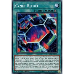Cynet Rituel (C) [MP19]
