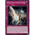 Mélange d'Esprit de l'Héritage du Monde (C) [MP19]