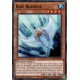 Raie Blanche (C) [MP19]
