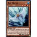 Raie Blanche (C) [MP19]
