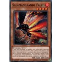Salamangrande Falco (C) [MP19]