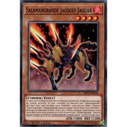 Salamangrande Jacques Jaguar (C) [MP19]