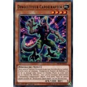 Dinolutteur Capoeiraptor (C) [MP19]