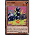 Gokipole (C) [MP19]