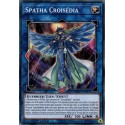 Spatha Croisédia (C) [MP19]