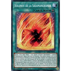 Volonté de la Salamangrande (C) [MP19]