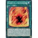 Volonté de la Salamangrande (C) [MP19]