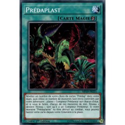 Prédaplast (C) [MP19]