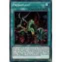 Prédaplast (C) [MP19]