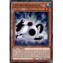 Centregrenouille (R) [MP19]