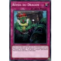 Réveil du Dragon (C) [MP19]