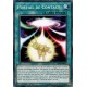 Portail de Contact (C) [MP19]