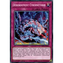 Débordement Cybernétique (C) [MP19]