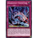 Débordement Cybernétique (C) [MP19]