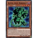 Alvíss, Alfe Nordique (C) [MP19]