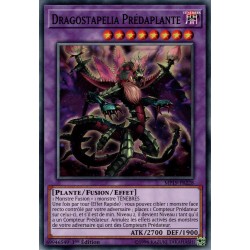 Dragostapelia Prédaplante (C) [MP19]