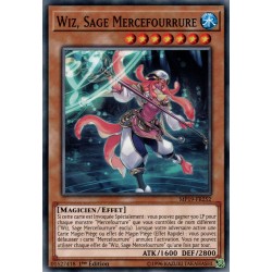 Wiz, Sage Mercefourrure (C) [MP19]