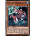 Wiz, Sage Mercefourrure (C) [MP19]