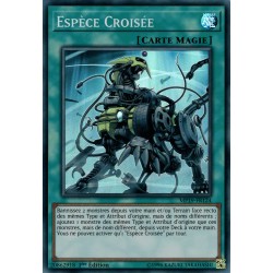 Espèce Croisée (SR) [MP19]