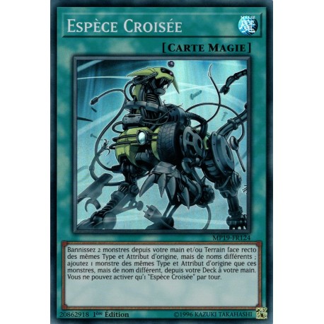 Espèce Croisée (SR) [MP19]